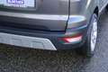Ford EcoSport 1.0 EcoBoost Titanium 125 pk |B&O premium geluid | Gris - thumbnail 15