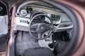Suzuki Alto 1.0 Exclusive|LMV14'|Airco|Cent. vergr|Cam|NAP - thumbnail 37