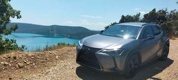 UX 250h 2.0i FWD Black Line