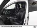 Land Rover Discovery Sport 2.0 td4 hse awd 150cv auto my18 Bianco - thumbnail 7