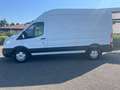 Ford Transit Kasten 350 L3H3 / Standh / Kamera / TOP! Alb - thumbnail 5