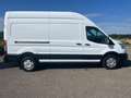 Ford Transit Kasten 350 L3H3 / Standh / Kamera / TOP! Alb - thumbnail 6