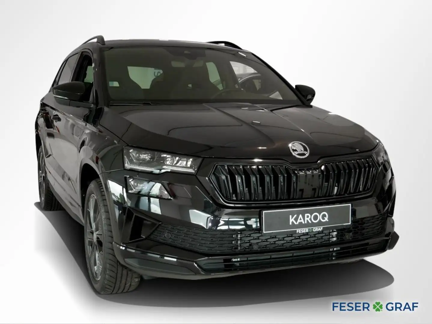 Skoda Karoq 2.0 TDI Sportline DSG AHK Matrix Navi RüKa Schwarz - 2