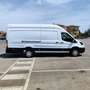 Ford Transit FT 350 EcoBlue Hybrid L3 Kombi Trail 170 - thumbnail 3