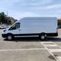 Ford Transit FT 350 EcoBlue Hybrid L3 Kombi Trail 170 - thumbnail 4