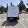 Ford Transit FT 350 EcoBlue Hybrid L3 Kombi Trail 170 - thumbnail 2