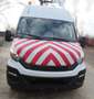 Iveco Daily 35S14 Bianco - thumbnail 2