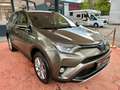 Toyota RAV 4 RAV4 Team D 1. Hand - thumbnail 9