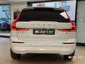 Volvo XC60 XC60 B4 (d) Geartronic Momentum Blanc - thumbnail 19