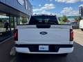 Ford F 150 XLT SuperCrew – Black Appearance - V6 3.5L EcoBoos Gold - thumbnail 5