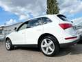 Audi Q5 3.0 V6 TDI 240CH FAP S LINE QUATTRO TRONIC 7 Blanc - thumbnail 15