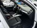Audi Q5 3.0 V6 TDI 240CH FAP S LINE QUATTRO TRONIC 7 Blanc - thumbnail 6