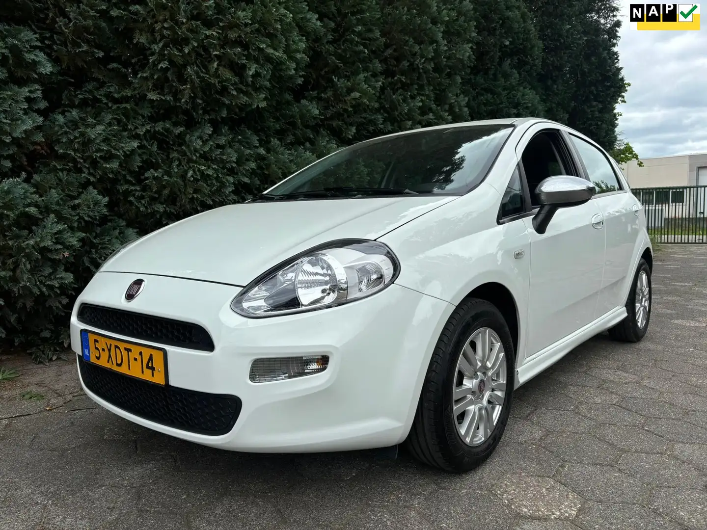 Fiat Punto Evo 0.9 TwinAir Street Bílá - 1