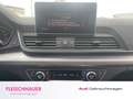 Audi Q5 50 TFSI e quattro AHK schwenk Tour smartphone Spor Blau - thumbnail 18