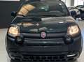 Fiat Panda Pandina III 2024 Pandina 1.0 firefly hybrid s Grün - thumbnail 4