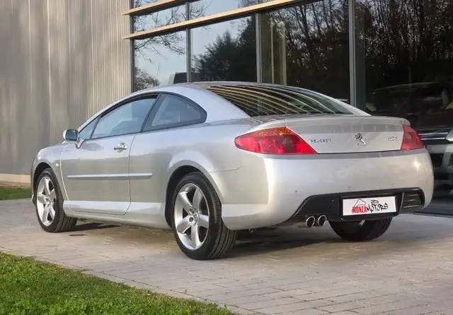 Peugeot 407 view 8
