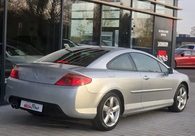 Peugeot 407 view 7
