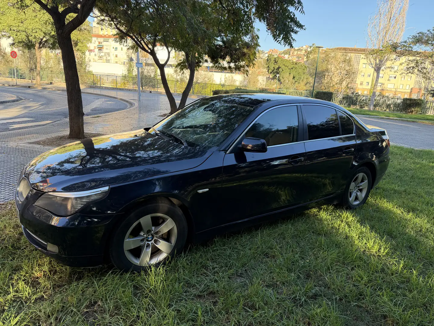 BMW 520 520d Executive Edition Azul - 2