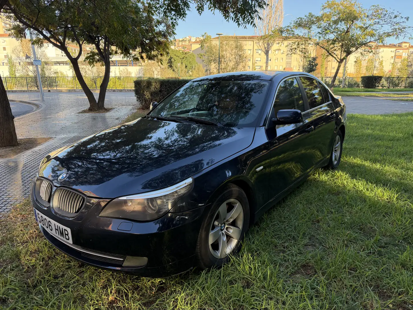 BMW 520 520d Executive Edition Azul - 1