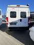 Fiat Ducato LMC Innovan Weiß - thumbnail 2