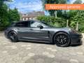 Porsche Panamera 2.9 Grijs - thumbnail 1