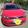 Volkswagen Golf Variant Golf Variant Comfortline BMT 1,6 TDI DSG Comfortli Rot - thumbnail 4