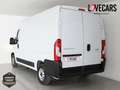 Fiat Ducato 2.3 MJT 33 L2 H2 FURGÓN CERRADO 140 Negro - thumbnail 5