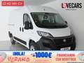 Fiat Ducato 2.3 MJT 33 L2 H2 FURGÓN CERRADO 140 Negro - thumbnail 1