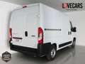 Fiat Ducato 2.3 MJT 33 L2 H2 FURGÓN CERRADO 140 Negro - thumbnail 6