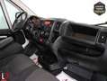 Fiat Ducato 2.3 MJT 33 L2 H2 FURGÓN CERRADO 140 Negro - thumbnail 20