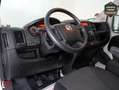 Fiat Ducato 2.3 MJT 33 L2 H2 FURGÓN CERRADO 140 Negro - thumbnail 19