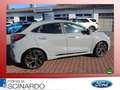 Ford Puma 1.5EB ST X *Navi*LED*B&O Sound* RFK*BLIS* Gris - thumbnail 3