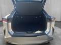 Lexus RZ 350e Executive 227 PS Silber - thumbnail 15
