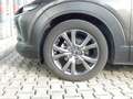 Mazda CX-30 SKY-X M-HYBRID SELECT 6AT DESIGN & PREMIUM SD-NAVI - thumbnail 15