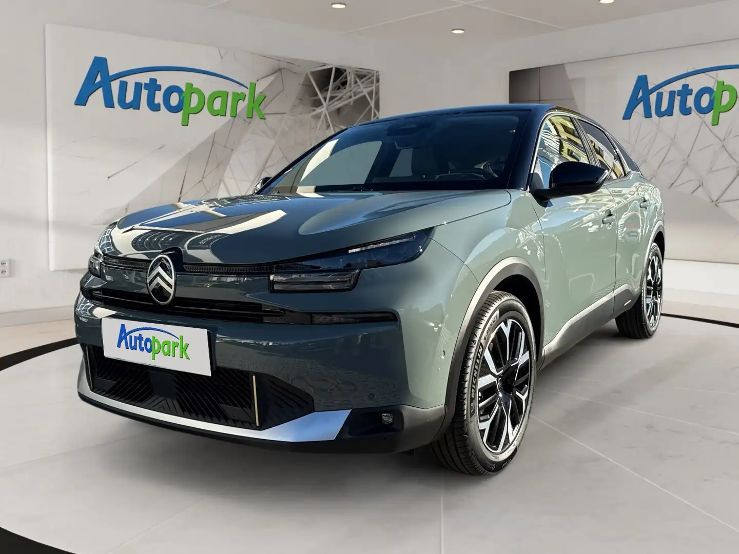 Citroen C4 MAX Grün - 1