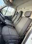 Renault Master RENAULT Industrial  Manual de 4 Puertas Blanco - thumbnail 21