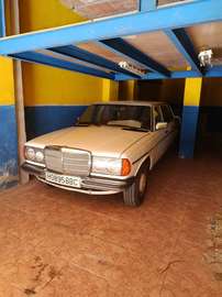 300D