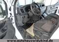 Ford Transit Custom 2.0 TDCi LKW Klima nur 83 000 km Blanc - thumbnail 11