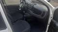 Fiat Panda 1.0 hybrid 5POSTI KM6700 Bianco - thumbnail 10