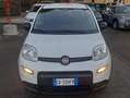 Fiat Panda 1.0 hybrid 5POSTI KM6700 Bianco - thumbnail 9