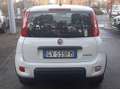 Fiat Panda 1.0 hybrid 5POSTI KM6700 Bianco - thumbnail 4