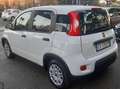 Fiat Panda 1.0 hybrid 5POSTI KM6700 Bianco - thumbnail 3
