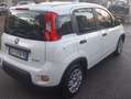 Fiat Panda 1.0 hybrid 5POSTI KM6700 Bianco - thumbnail 6
