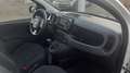 Fiat Panda 1.0 hybrid 5POSTI KM6700 Bianco - thumbnail 11