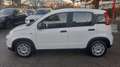 Fiat Panda 1.0 hybrid 5POSTI KM6700 Bianco - thumbnail 2