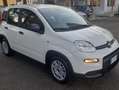 Fiat Panda 1.0 hybrid 5POSTI KM6700 Bianco - thumbnail 8
