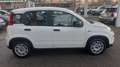 Fiat Panda 1.0 hybrid 5POSTI KM6700 Bianco - thumbnail 7