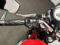 Triumph Thruxton 900 Rot - thumbnail 21