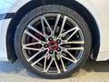 Kia ProCeed / pro_cee'd 1.6 TGDI DCT GT Pano|LED|Navi|Sound|RFK Blanc - thumbnail 8