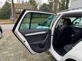 Skoda Octavia Combi 1.5 TSI Greentech Business Edition Wit - thumbnail 34